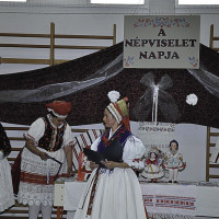 n  pvi 116