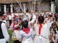 IMG 20250416 120802