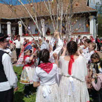 IMG 20250416 120802